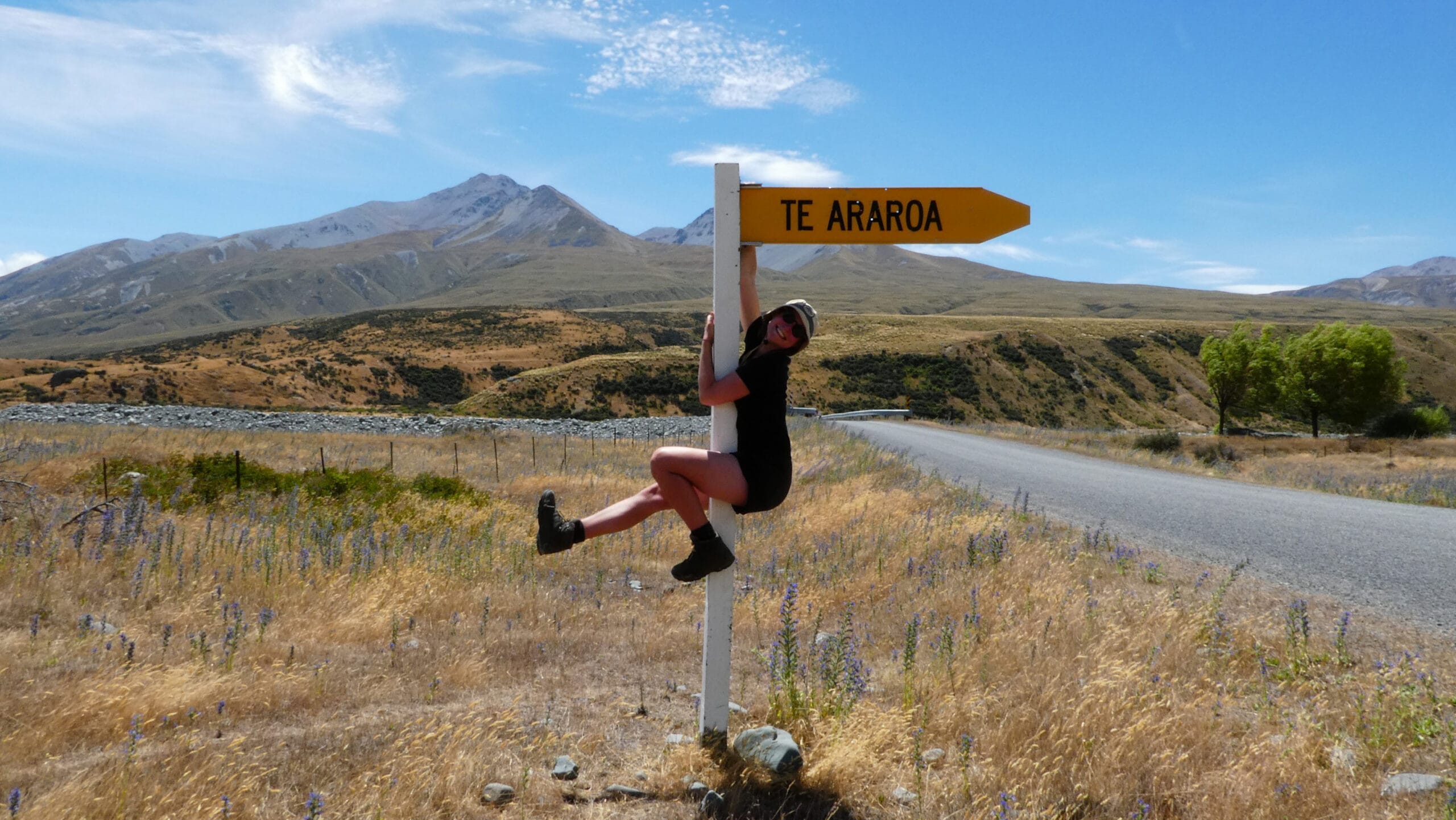 Te Araroa Resupply